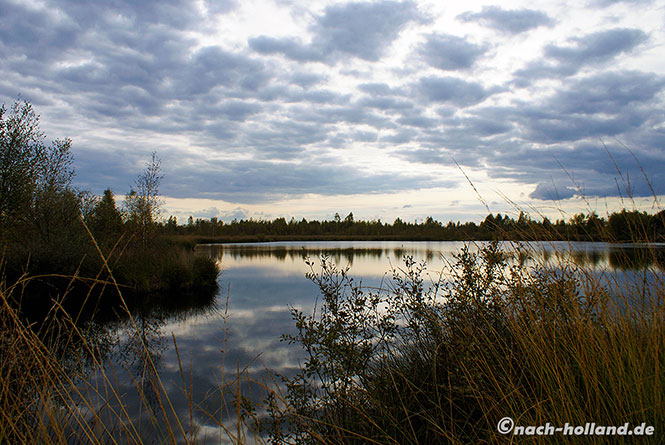 Nationalpark grote peel