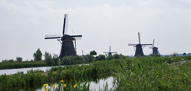 kinderdijk front