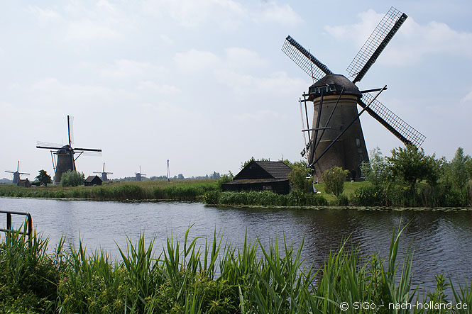 kinderdijk mühlen