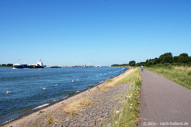 rad meer 08
