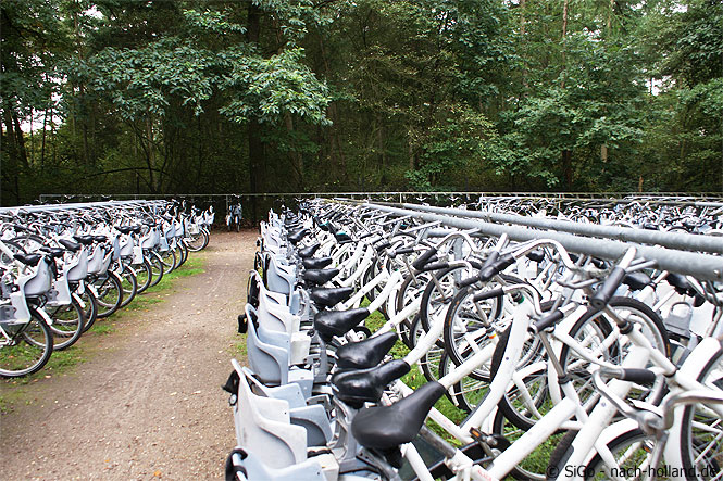 Die kostenlosen weißen Fahrräder warten auf die heutigen Parkgäste veluwe fahrrad