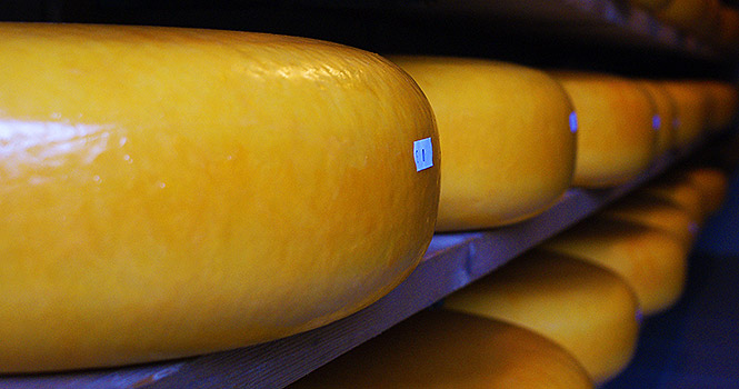 Zum Reifen wird der Käse in Regalen gelagert kaeserei