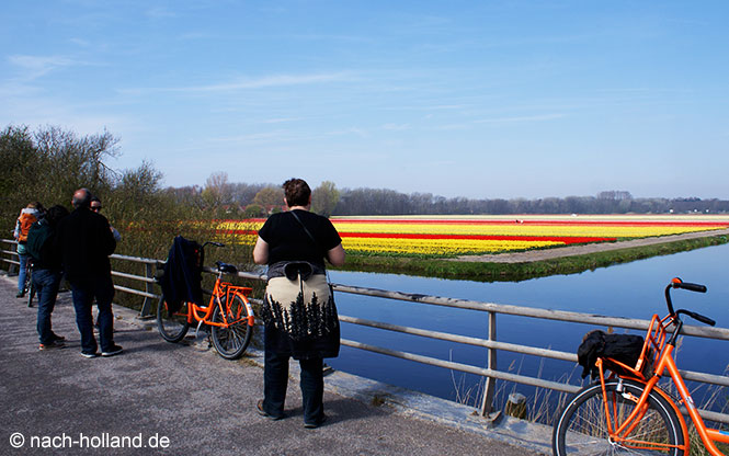 keukenhof tulpenfelder