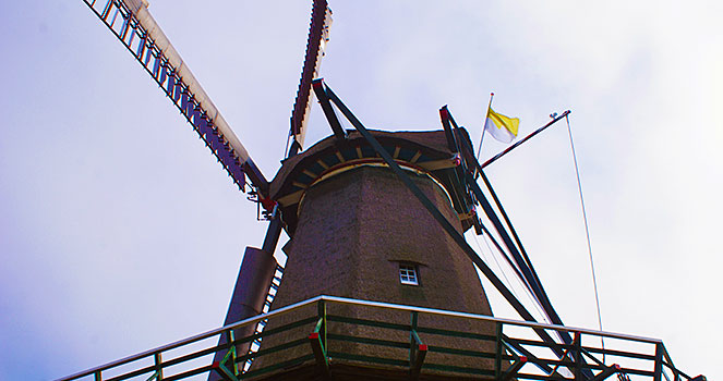 Das Dach der Windmühle auf Texel sollte dirngend erneuert werden windmühle Oudeschild
