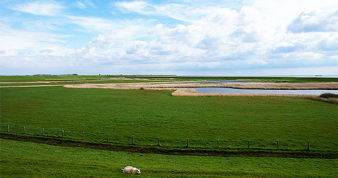Weite und Natur auf der Insel Texel Schöne Landschaften auf der Insel Texel