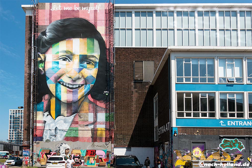 amsterdam ndsm streetart