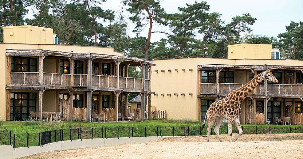 safari hotel beekse bergen