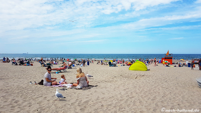 aktivitäten rotterdam strand