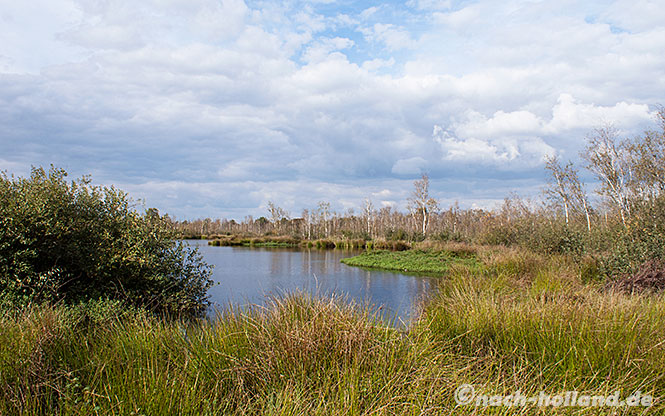 Nationalpark De Groot Peel groote peel landschaft