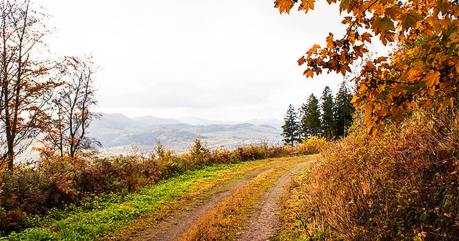 Wandern mit Aussicht kneippwanderung