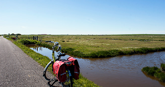 Kurzer Halt im Naturgebiet Yerseke Moer zeeland radtour yerseke moer
