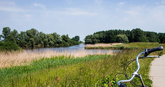 Idyllische Landschaften mit viel Wasser und Grün begleiten uns auf der Hanseroute radeln auf der hanseroute