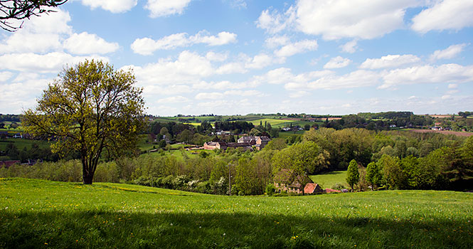Wunderschöne Natur rund um den Ferienpark Landal De Waufsberg schöne Landschaft rund um den Ferienpark Landal De Waufsberg