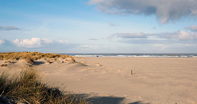 Einsame Strände auf Schiermonnikoog im Winter schiermonnikoog winterreise