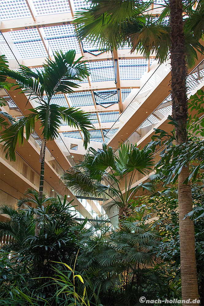 hotel jakarta amsterdam palmen