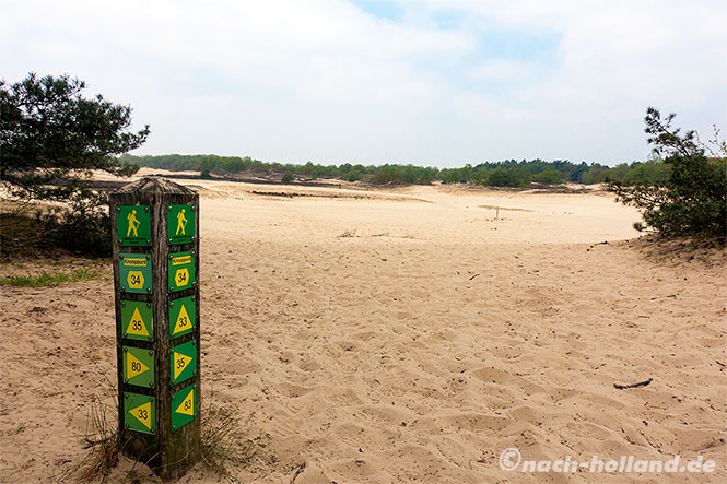 loonse drunense duinen