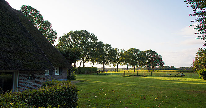 Natur pur im schönen Vechtdal Vechtdal