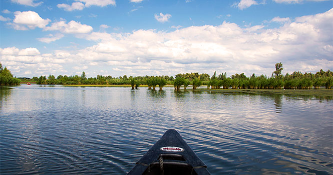 Paddeln im Nationalpark De Biesbosch - traumhaft schön! Mit dem Kanu im Nationalpark De Biesbosch