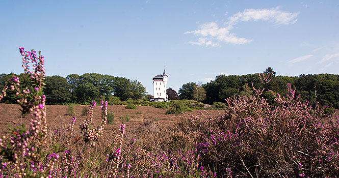 Der Palthe Turm thront gut sichtbar auf dem Sprengenberg Sallandse Heuvelrug