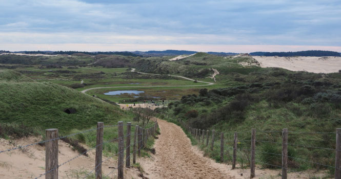 Nationalpark Zuid-Kennemerland