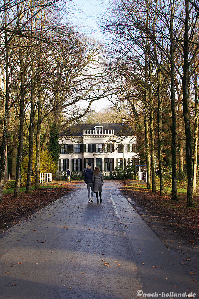 friesland 2021 allee oranjewoud