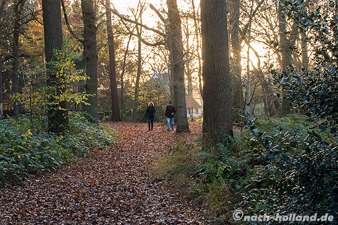 friesland 2021 oranjewoud wandern