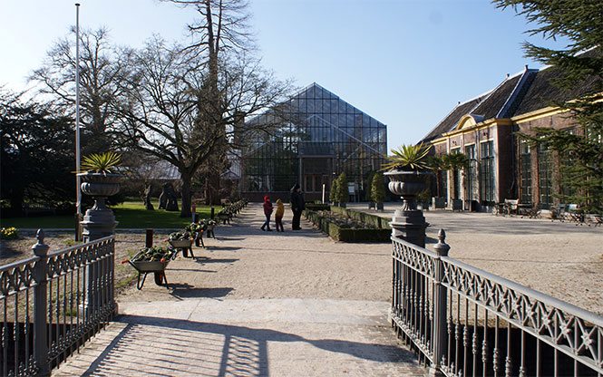 leiden hortus botanicus
