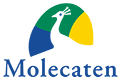 Molecaten Campingplätze