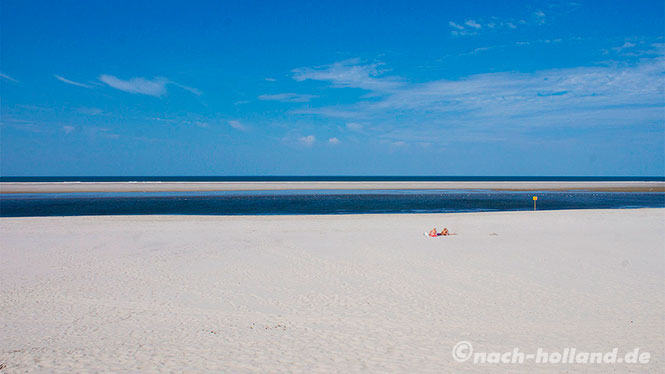 ameland einsamer strand
