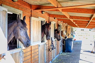 camping ardoer noorder sandt