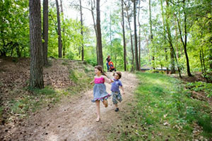 Wohnraum im Komfort-Ferienhaus Landal Miggelenberg Veluwe ferienhaus landal miggelenberg veluwe