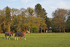 pferdehotel van der valk apeldoorn, hotel cantharel van der valk apeldoorn hotel cantharel