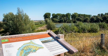 Gärten, Natur und eine Saunatherme – Ausflugsziele rund um Nijmegen