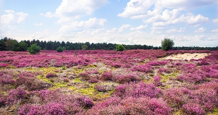 Abwechslungsreiche Tage im Land van Cuijk 
