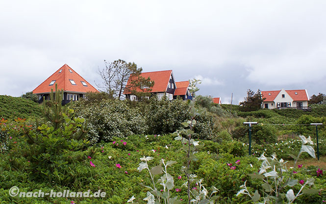 vlieland ferienhäuser